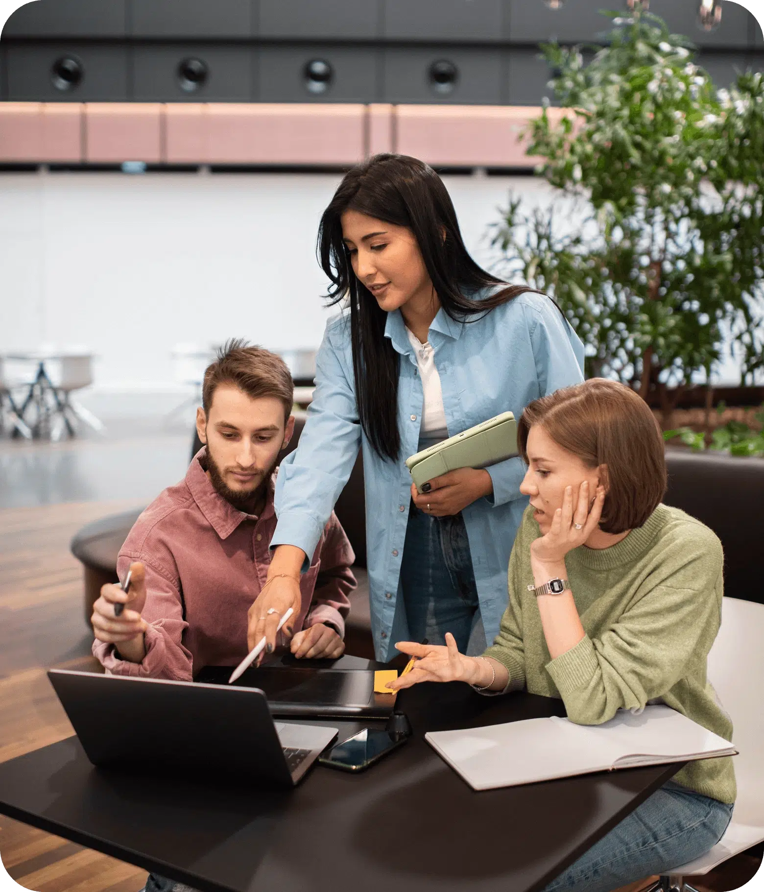 Entrepreneur And Accountants