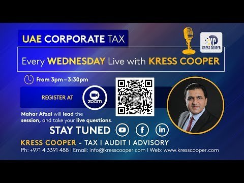 Free zone tax structure diagram